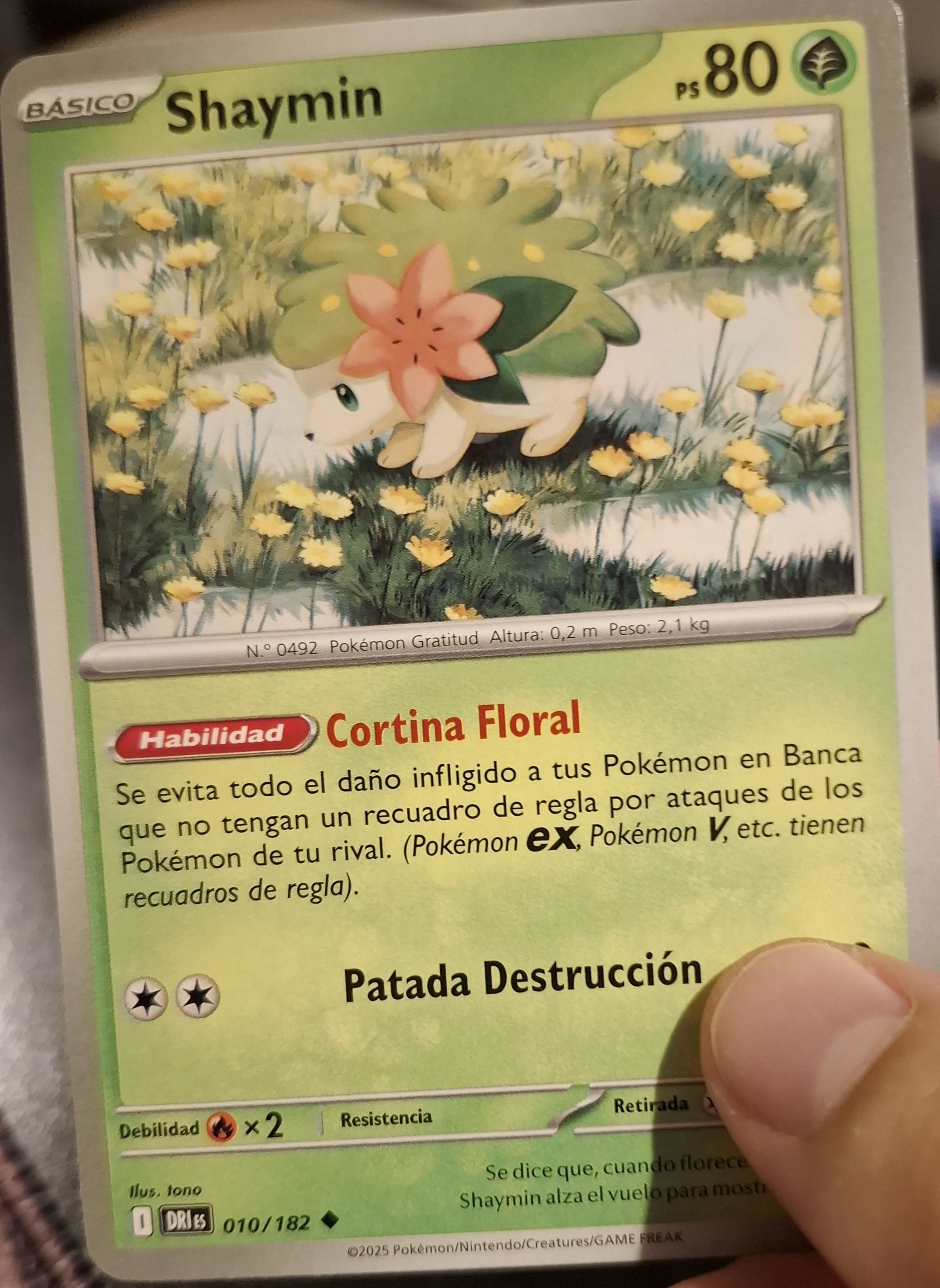 Shaymin