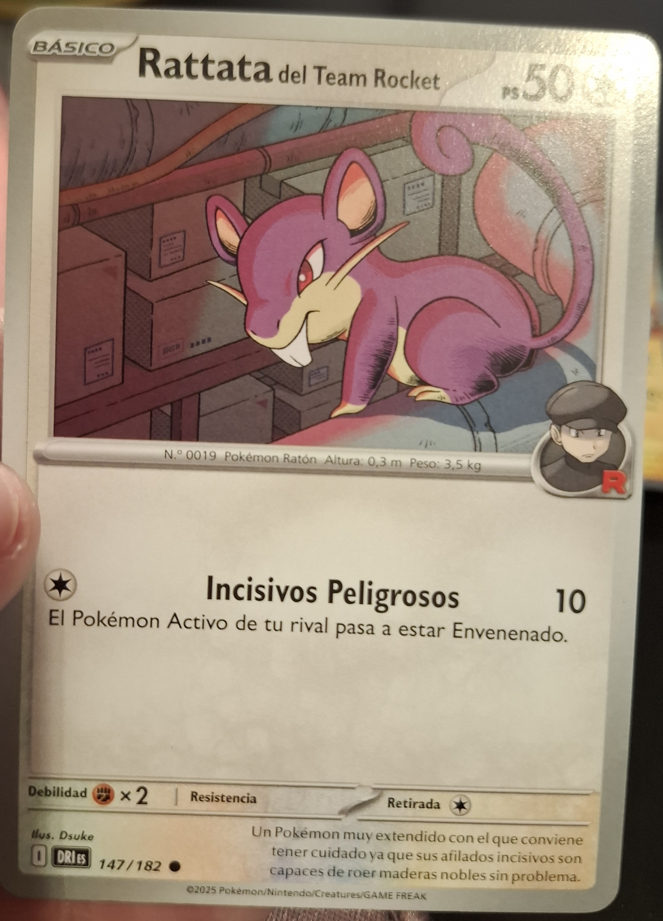 Rattata del Team Rocket