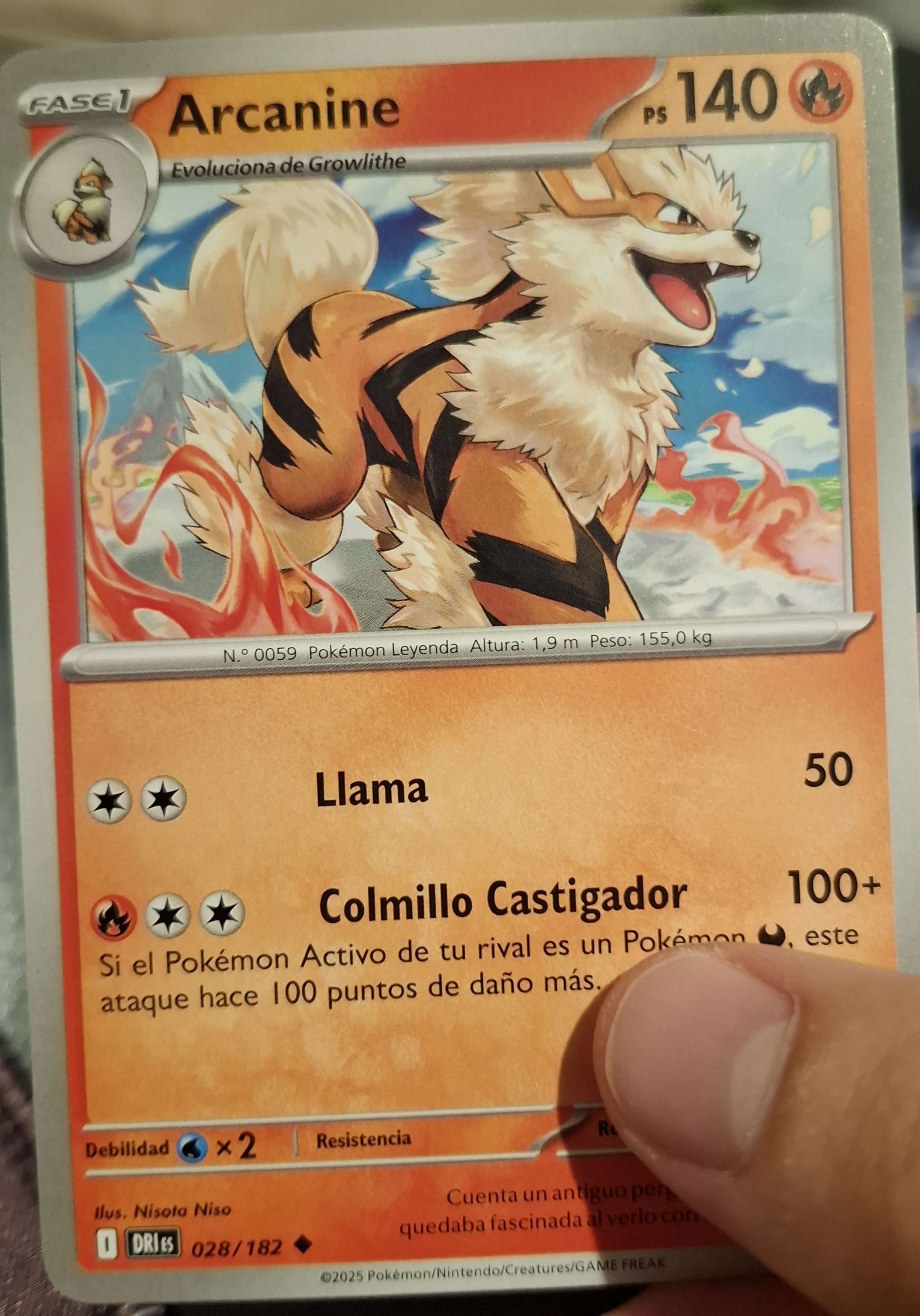 Arcanine
