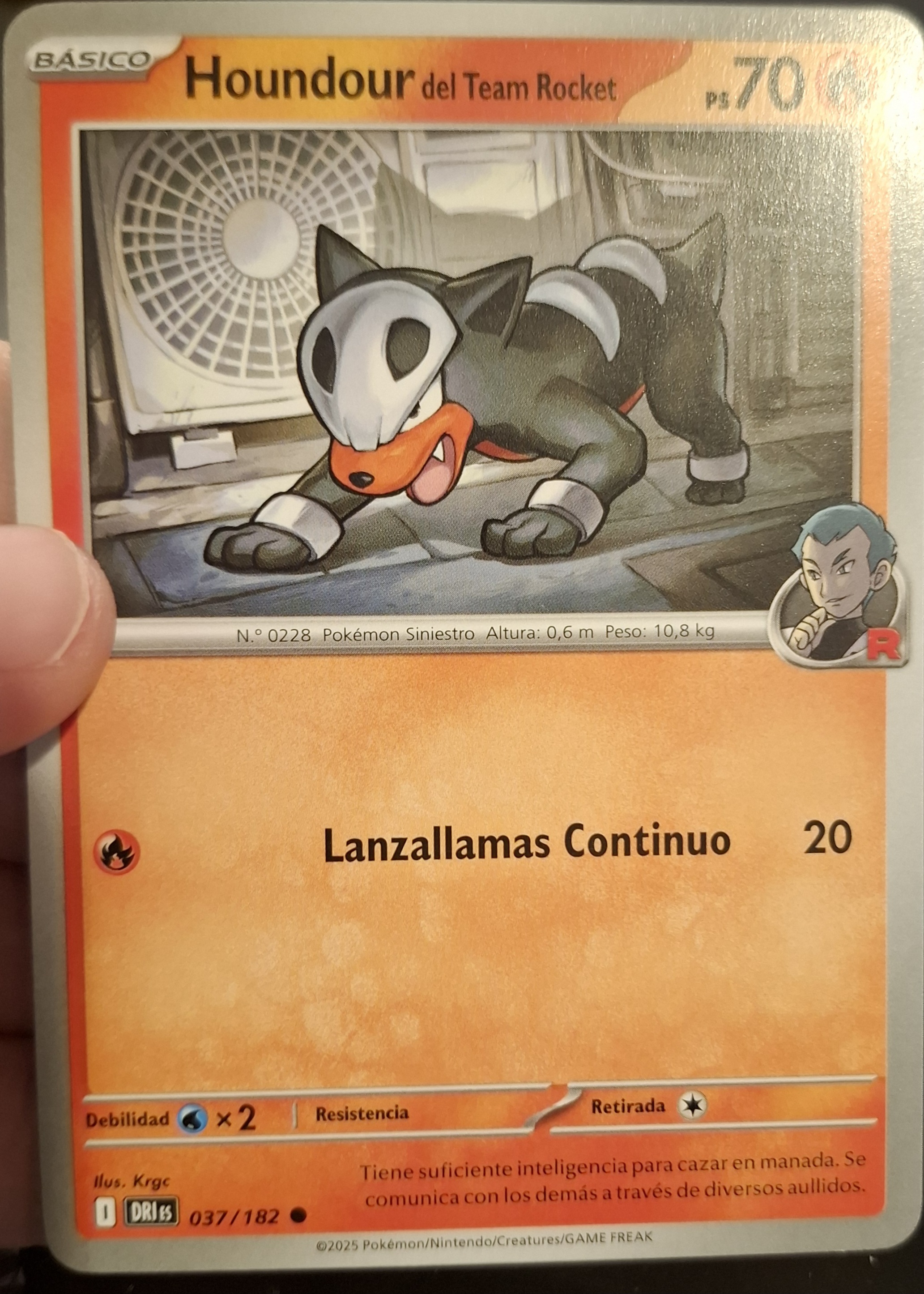 Houndour del Team Rocket