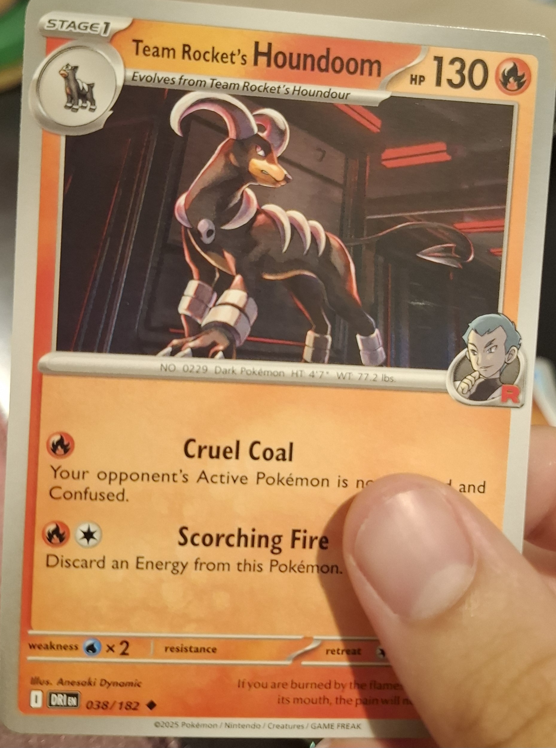 Houndoom del Team Rocket