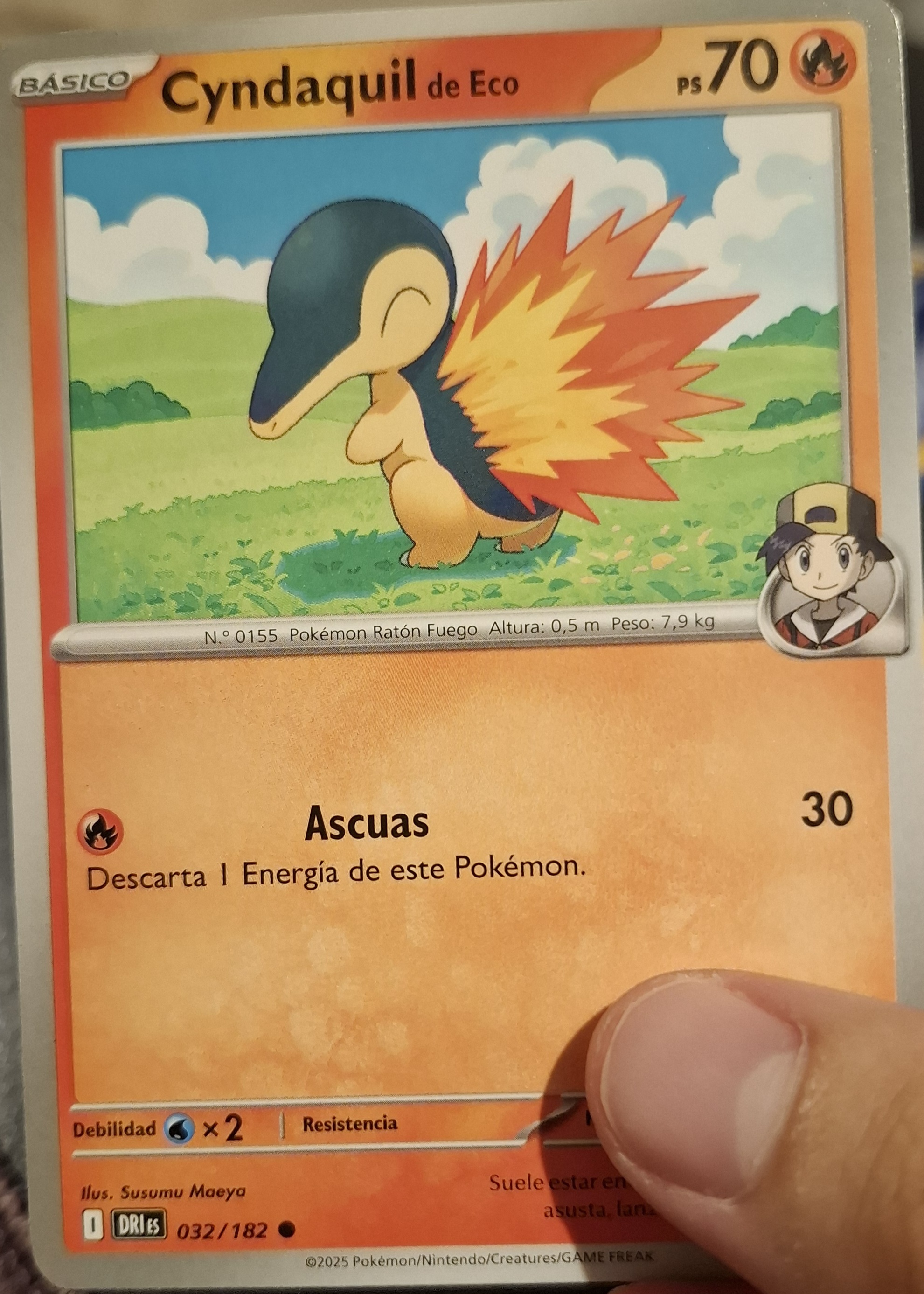 Cyndaquil de Eco