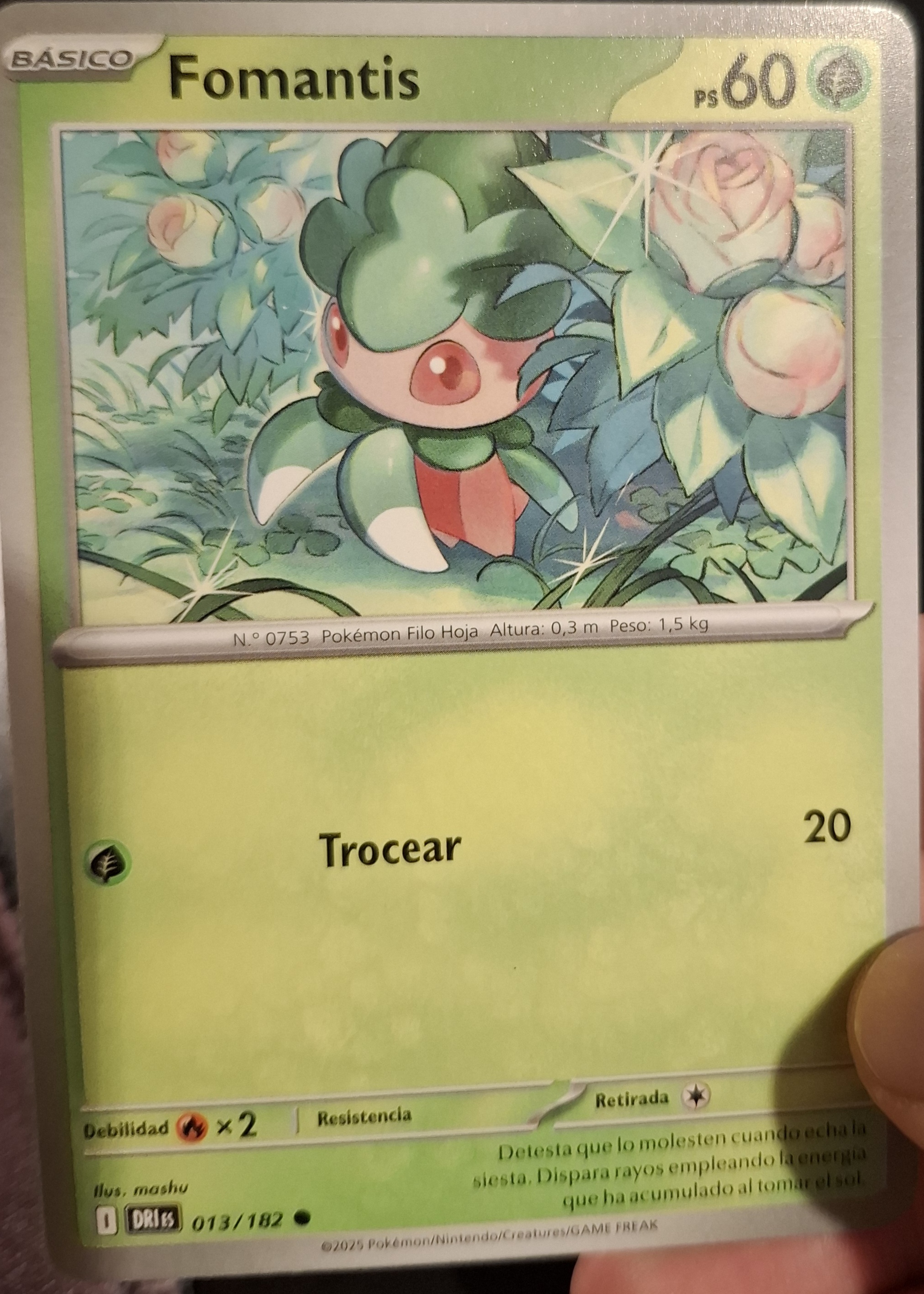 Fomantis